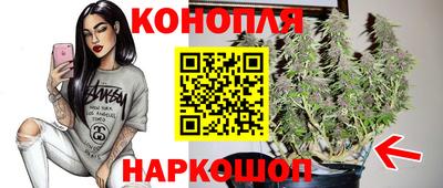 винт Новокубанск