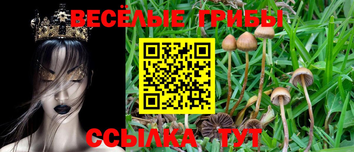 Тайшет  Псилоцибиновые грибы Magic Shrooms  где купить наркоту  Вход с VPN 